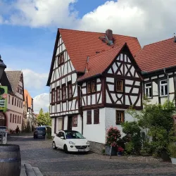 Schloss Steinheim - Hanau