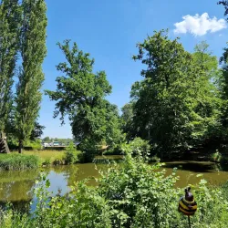 Wilhelmsbad Park and Kurhaus - Hanau
