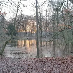 Eilenriede Forest - Hanover