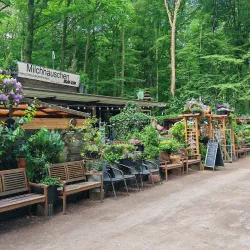 Eilenriede Forest - Hanover