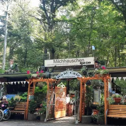 Eilenriede Forest - Hanover