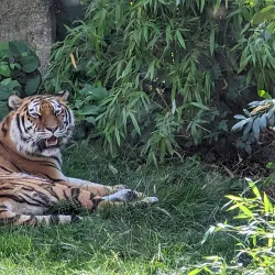 Hanover Zoo - Hanover