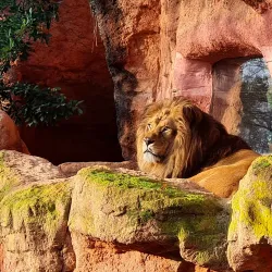 Hanover Zoo - Hanover