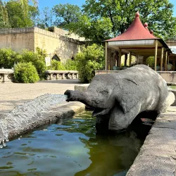 Hanover Zoo - Hanover