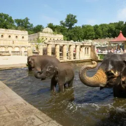 Hanover Zoo - Hanover