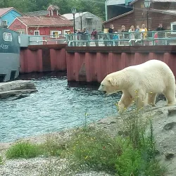 Hanover Zoo - Hanover