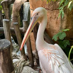 Hanover Zoo - Hanover