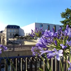 Leineschloss (Leine Palace) - Hanover