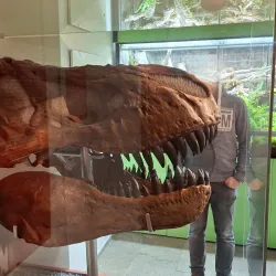 Lower Saxony State Museum (Niedersächsisches Landesmuseum) - Hanover