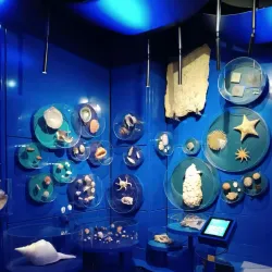 Lower Saxony State Museum (Niedersächsisches Landesmuseum) - Hanover