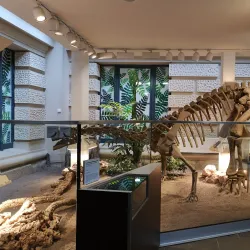 Lower Saxony State Museum (Niedersächsisches Landesmuseum) - Hanover