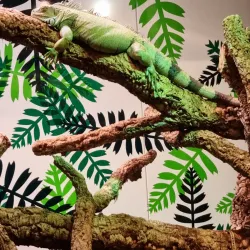 Lower Saxony State Museum (Niedersächsisches Landesmuseum) - Hanover