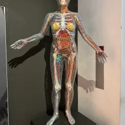 Lower Saxony State Museum (Niedersächsisches Landesmuseum) - Hanover