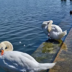 Maschsee Lake - Hanover