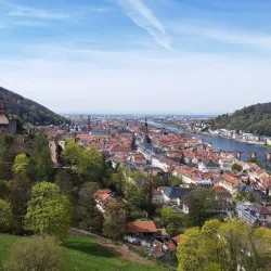 Heidelberg Castle - Heidelberg