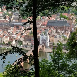 Heidelberg University - Heidelberg