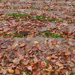 Heiligenberg - Heidelberg