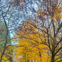 Heiligenberg - Heidelberg