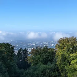 Heiligenberg - Heidelberg