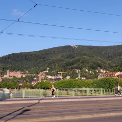 Neckarwiese - Heidelberg