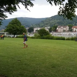 Neckarwiese - Heidelberg