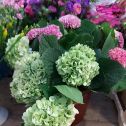 Herne Market Square (Marktplatz) - Herne