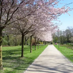 Herner Stadtgarten - Herne