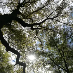 Herner Stadtgarten - Herne