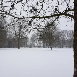 Herner Stadtgarten - Herne