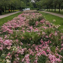 Herner Stadtgarten - Herne