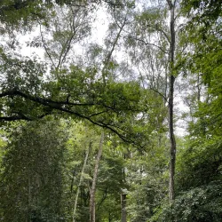 Herner Stadtgarten - Herne