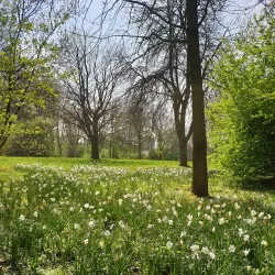 Herner Stadtgarten - Herne