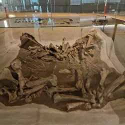 LWL-Museum für Archäologie - Herne