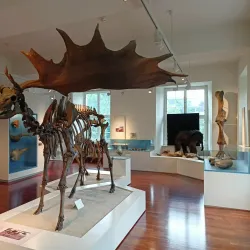 Schloss Strünkede - Herne