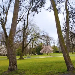 Wanne-Eickel City Park - Herne