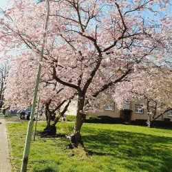 Wanne-Eickel City Park - Herne