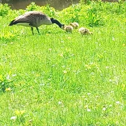 Aurach Park - Herzogenaurach