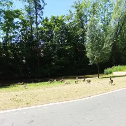 Aurach River Walk - Herzogenaurach
