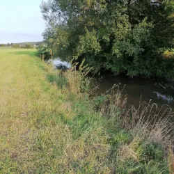 Aurach River Walk - Herzogenaurach