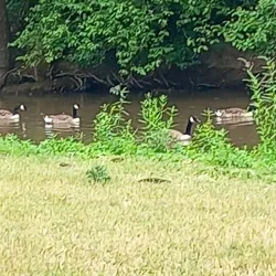 Aurach River Walk - Herzogenaurach