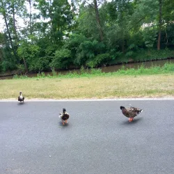 Aurach River Walk - Herzogenaurach