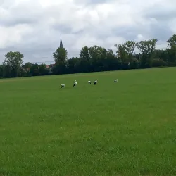 Aurach River Walk - Herzogenaurach