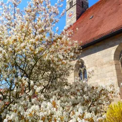 Herzogenaurach Old Town - Herzogenaurach