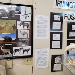 Museum of Local History - Herzogenaurach