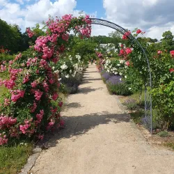 Magdalenengarten - Hildesheim