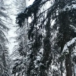 Fichtelgebirge Mountains - Hof