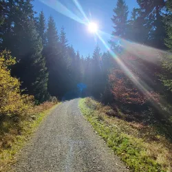 Fichtelgebirge Mountains - Hof