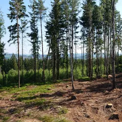 Fichtelgebirge Mountains - Hof