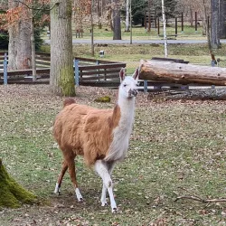 Franzensbad Park - Hof