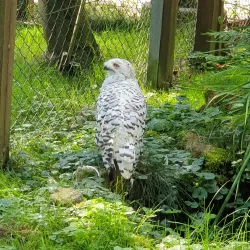 Franzensbad Park - Hof